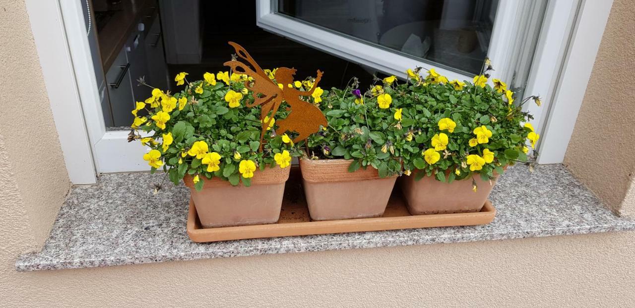 Apartmani Tuheljske Tuheljske Toplice Kültér fotó